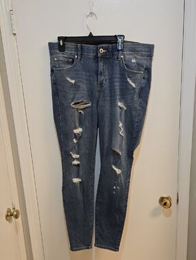 Torrid Distressed Skinny Jeans